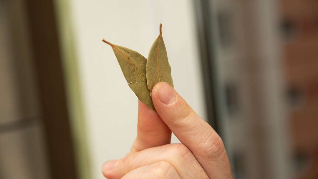 Bay Leaf Energy Clearing: This One Leaf Might Block Your Blessings